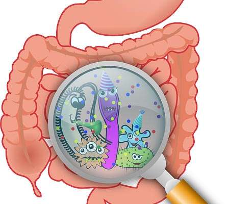 cattiva-digestione-intestino